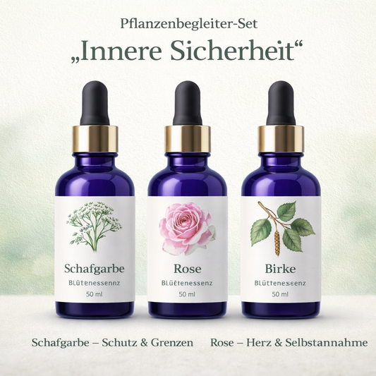 Blütenessenzen für PMS – Anwendung, Wirkung & Rituale